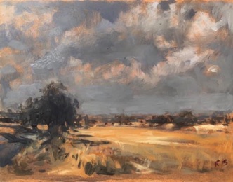 Landscape near Surlingham
Norfolk
8" x 10" (20 x 25 cms)